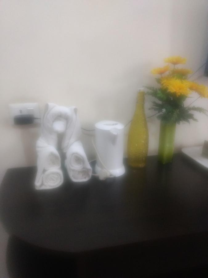 Golden Palm Suites Delhi  Exterior photo